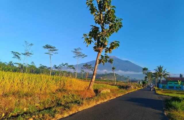 Rental mobil Purbalingga — Armada Rent
